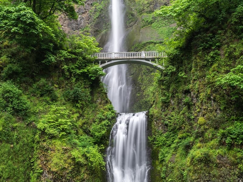 PlayStation 5 с двумя геймпадами